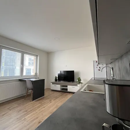 Apartment And Spacious With Amenities Neutra